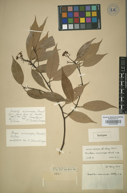 LE 01014165