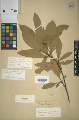 LE 01014166