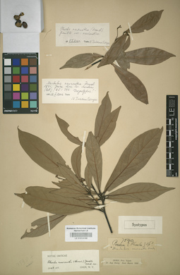LE 01014168
