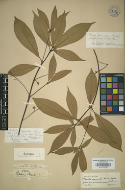 LE 01014169