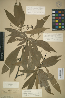 LE 01014170