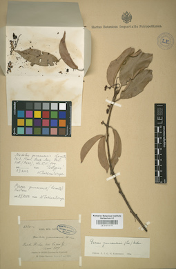 LE 01014171