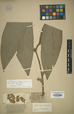LE 01014172