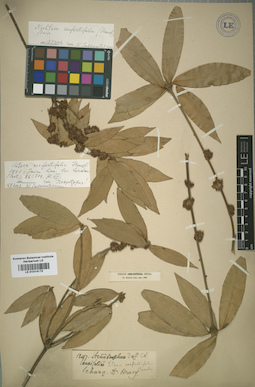 LE 01014173