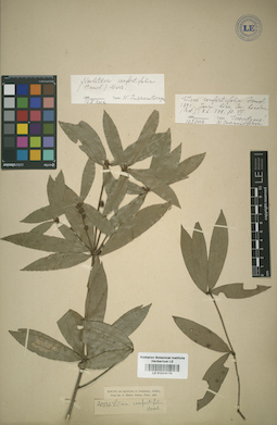 LE 01014174