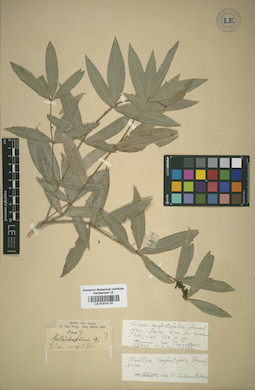 LE 01014175