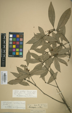 LE 01014178