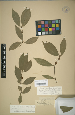 LE 01014182