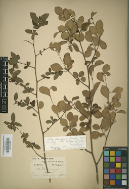 LE 01014185