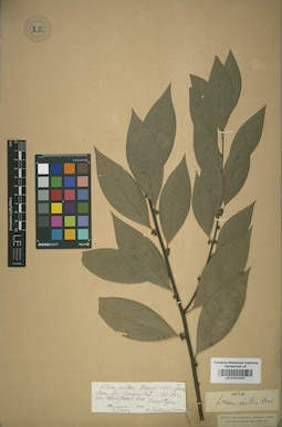 LE 01014187