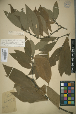 LE 01014188