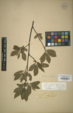 LE 01014189