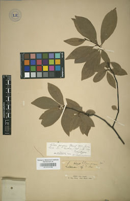 LE 01014190