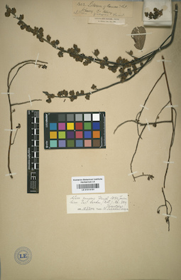 LE 01014191