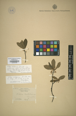 LE 01014192