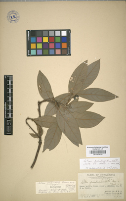 LE 01014193