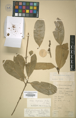 LE 01014194