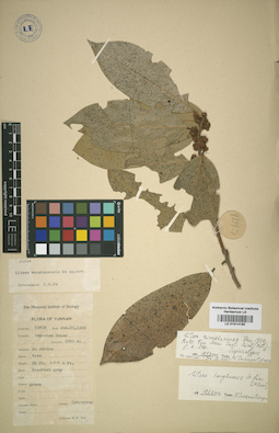 LE 01014195