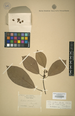 LE 01014196