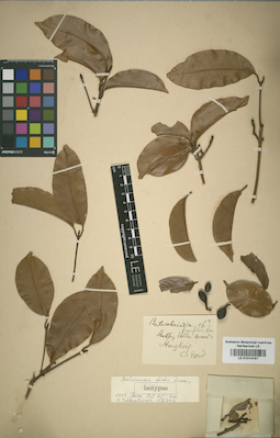LE 01014197