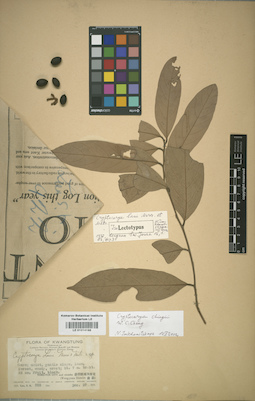 LE 01014198