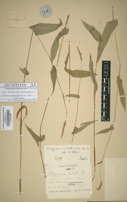 LE 01014205