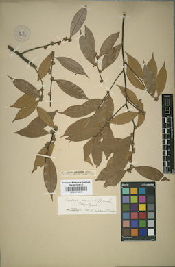 LE 01014206