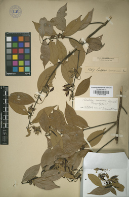 LE 01014209