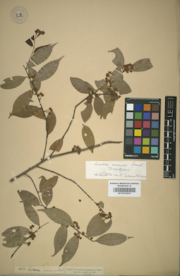 LE 01014210