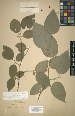 LE 01014212