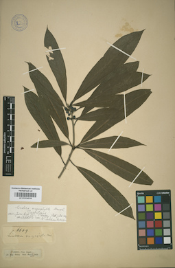LE 01014216