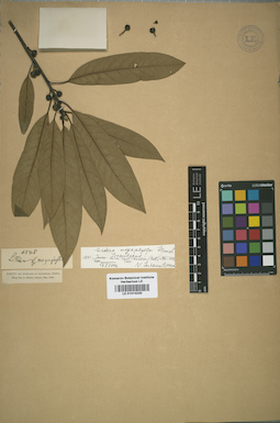LE 01014220