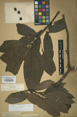 LE 01014223