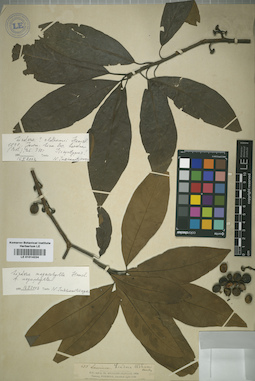 LE 01014224