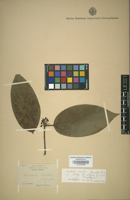 LE 01014226