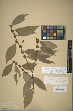 LE 01014227