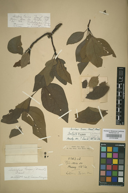 LE 01014230
