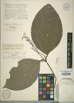 LE 01014231