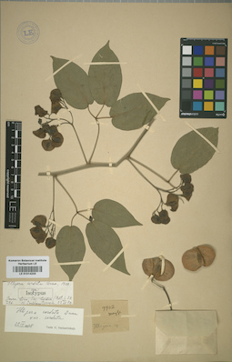 LE 01014233