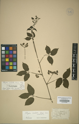 LE 01014234