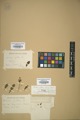 LE 01014282