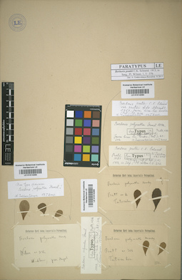 LE 01014284