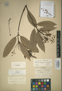 LE 01014286