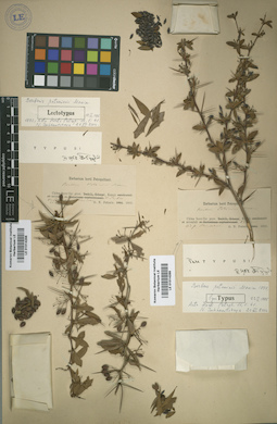 LE 01014288
