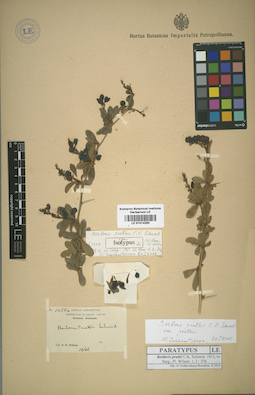 LE 01014290