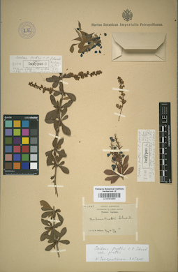 LE 01014291