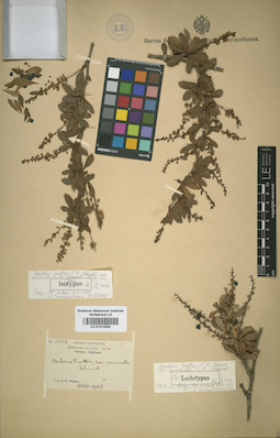 LE 01014292