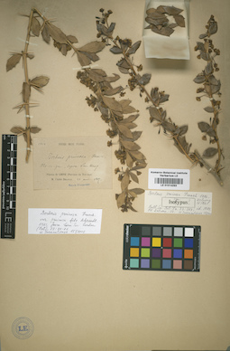 LE 01014293