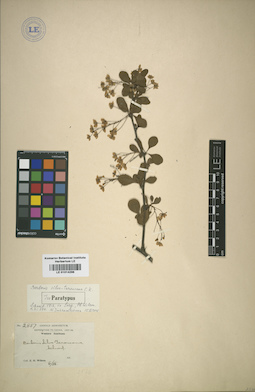 LE 01014296