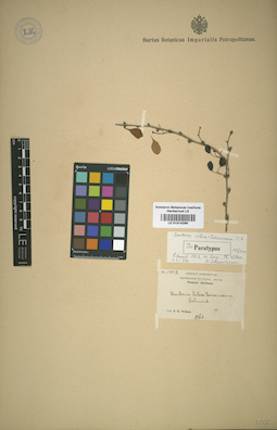 LE 01014299